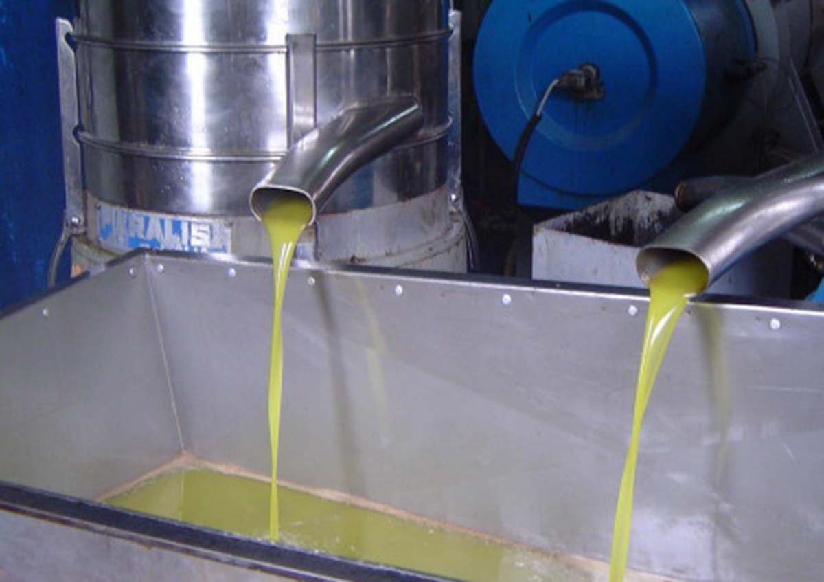 نقابة المعاصر تقرر عدم رفع أسعار