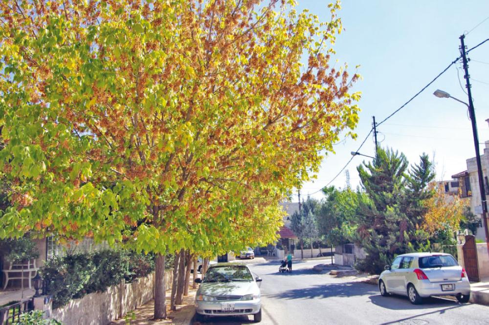 أجواء خريفية في معظم المناطق اليوم