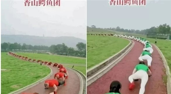 زحفة التمساح لتقوية الظهر.. أغرب التمارين