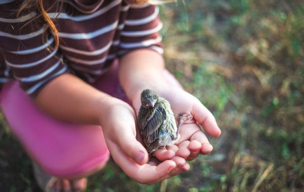 هل يتساءل طفلك عن “مدى حبّك