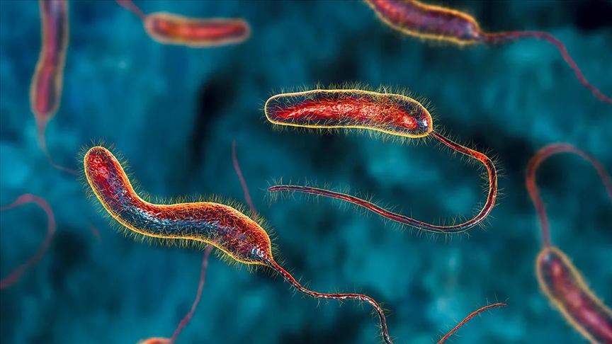 الحكومة: زيادة نسبة فحوصات التحري عن