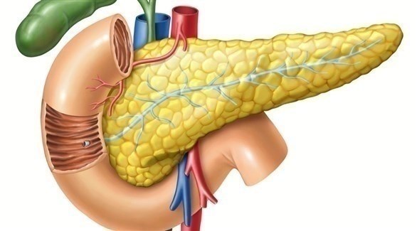 نشر أكبر بنك صور لعينات من