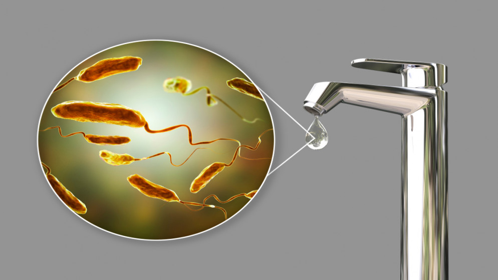 البلبيسي: لا مخاوف من انتشار الكوليرا