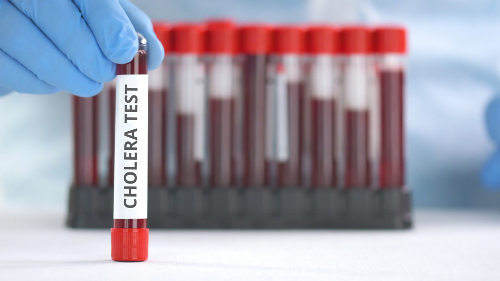 البلبيسي لا يستبعد تسجيل حالات فردية