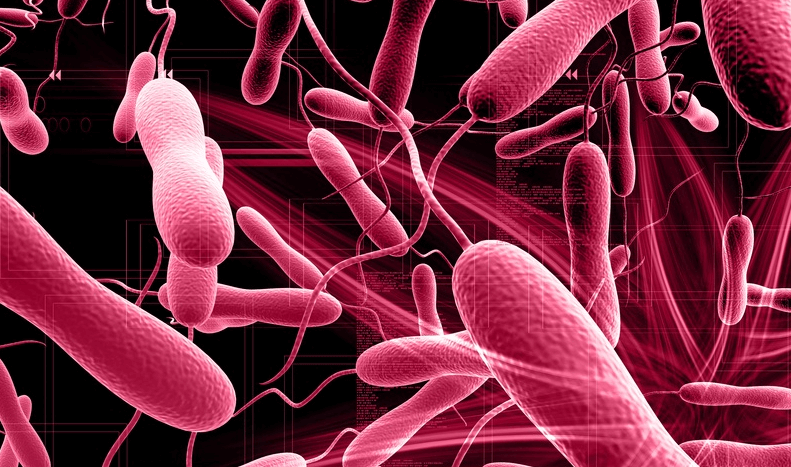 الأردن يقرر أخذ عينات من المواد