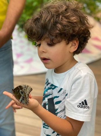 باسل عمر الشوبكي.. ميلاد سعيد