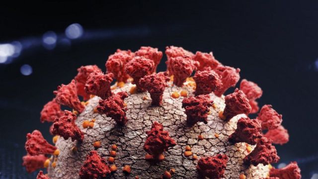 ترقب عالمي لمتحور كورونا XXB