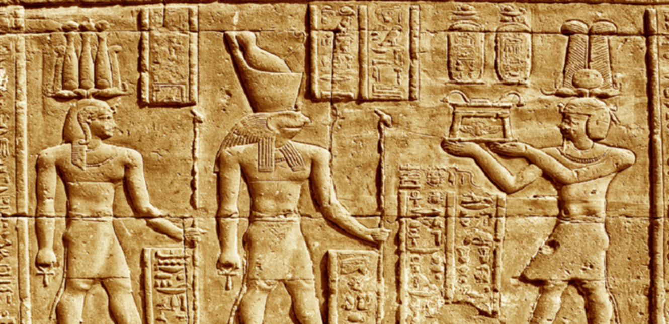 بقايا صقور مصرية قديمة تكشف عن