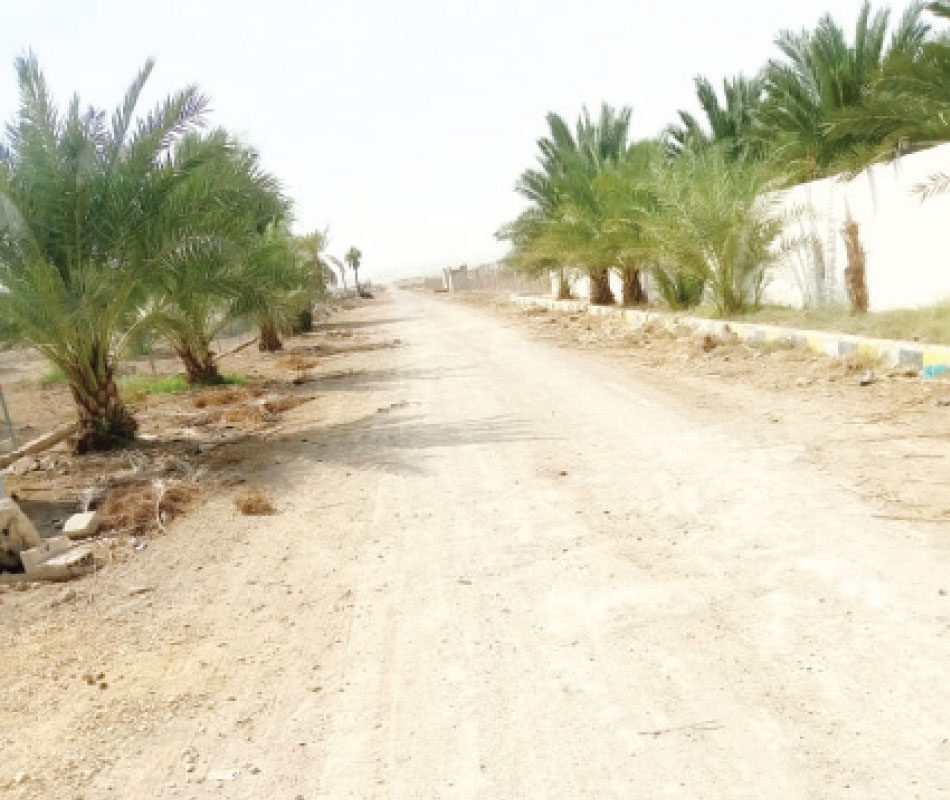 طرق زراعية متهالكة بوادي الأردن منذ