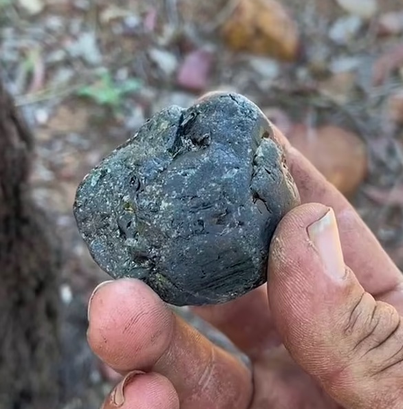 يعثر على ياقوتة نادرة بالصدفة أثناء