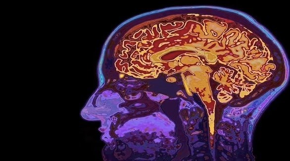 خوارزمية تتيح قراءة الأفكار عبر فك