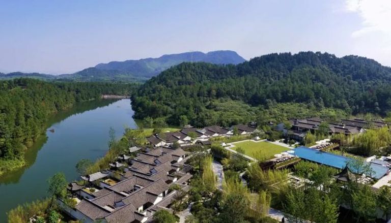 بأنامل صينية.. كراسي خضراء لحماية البيئة