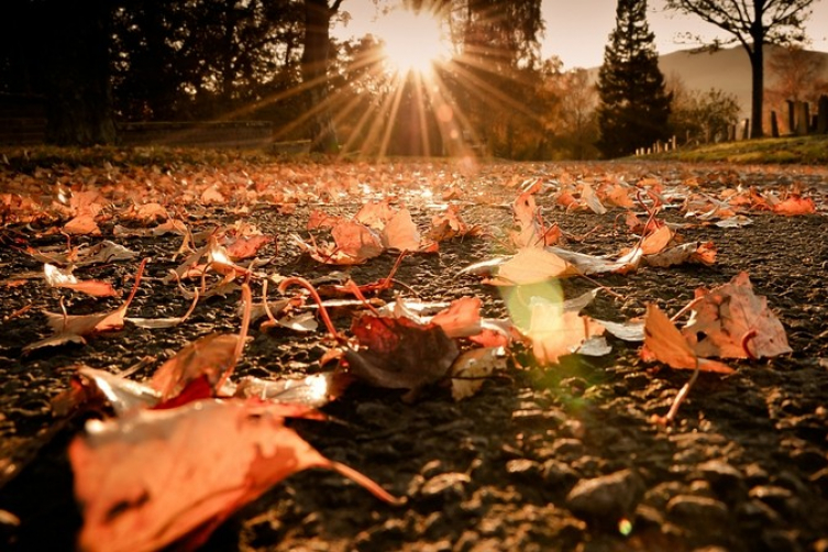 أجواء خريفية لطيفة في الأردن