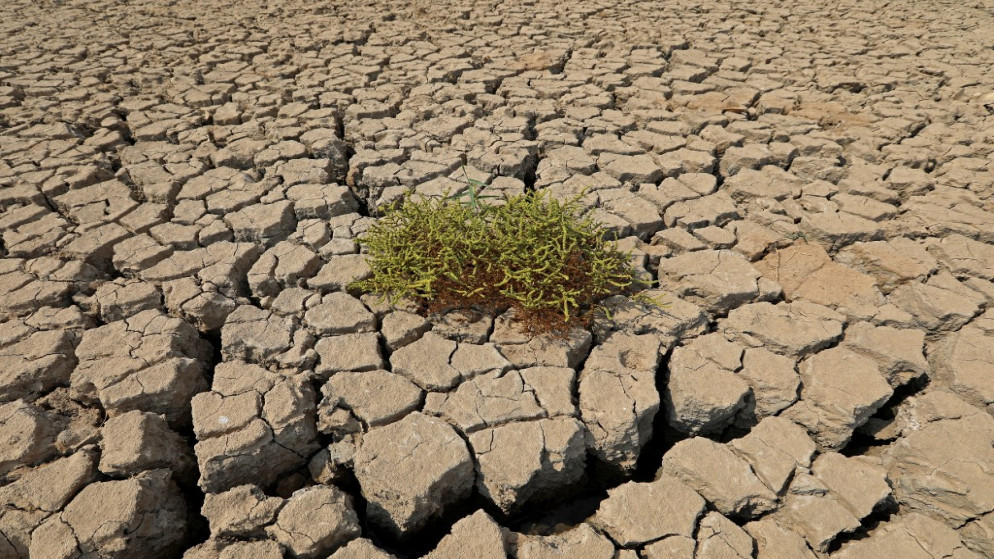 موجات الحرّ تكلّف الدول الفقيرة أكثر