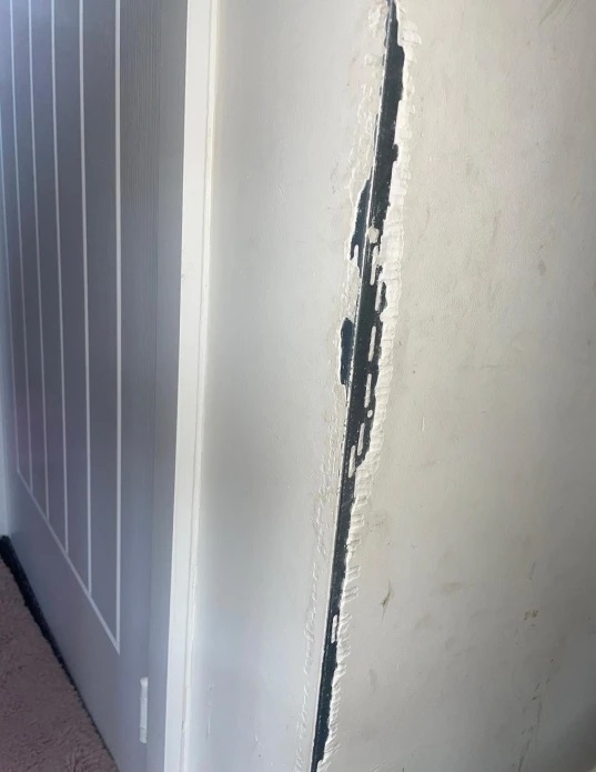 طفلة تأكل الجدران والأثاث بسبب حالة