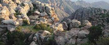 وضع أكبر منحوتة خشبية على مدخل