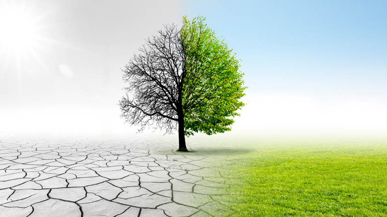 إقرار السّياسة الوطنيّة للتغيّر المناخي في