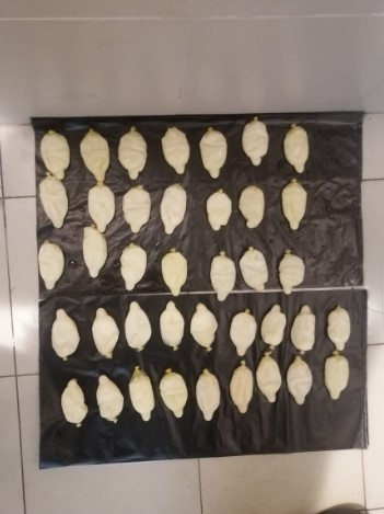 داخل احشاء مسافر أجنبي.. تم الضبط