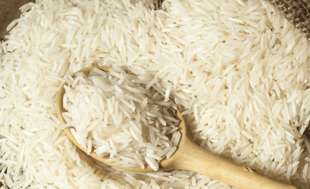 الاردن: التخليص على 250 طنا من