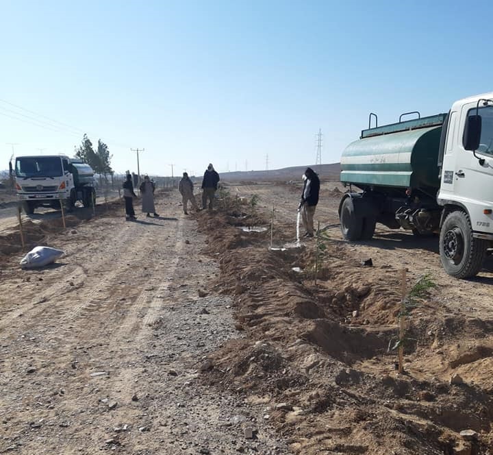 “الزراعة”: البدء بزراعة غراس غابة القطرانة