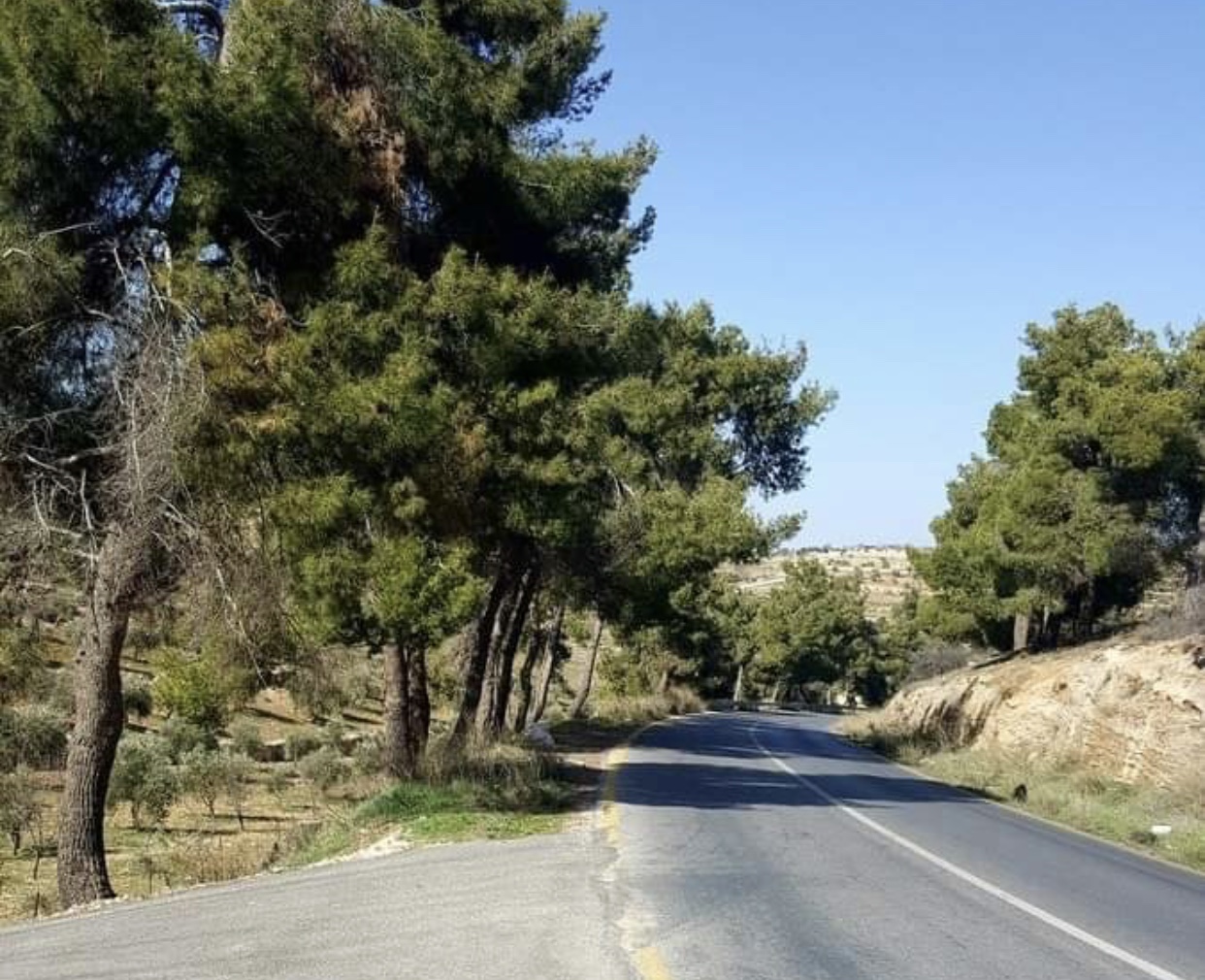 استملاك قطعة أرض لإقامة منتزه قومي