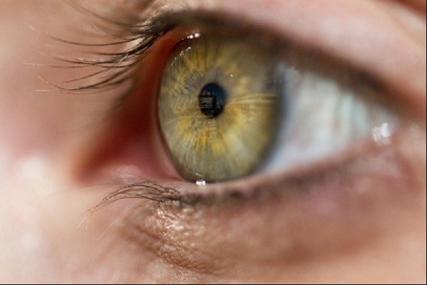 التبرع بقرابة 300 قرنية سنويا بعد