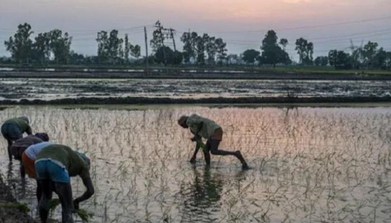 التغير المناخي يهدد إندونيسيا بخسارة ثلث