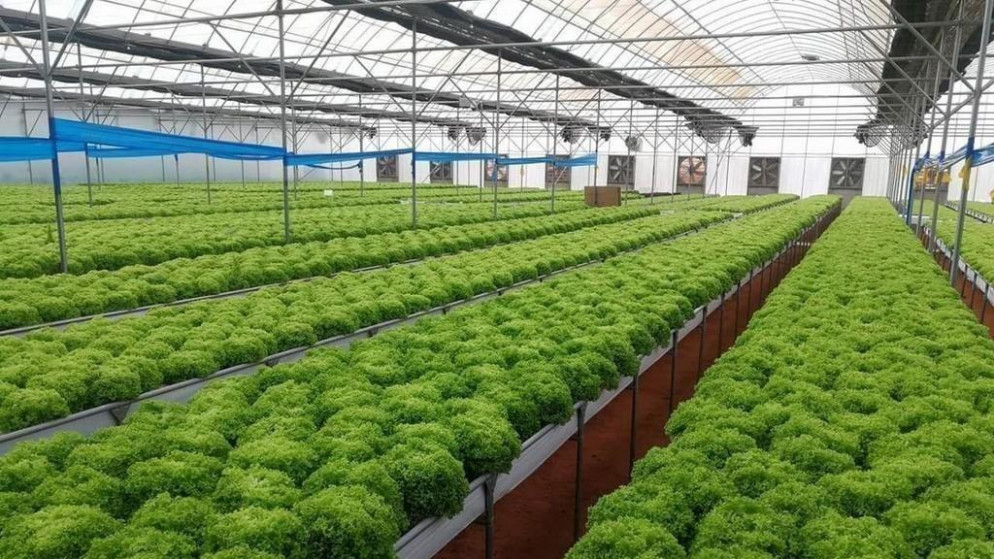 الأردن يستضيف ورشة إقليمية حول الإدارة