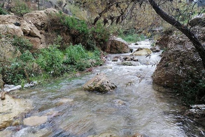 خلال الساعات الماضية.. رأس منيف تسجل