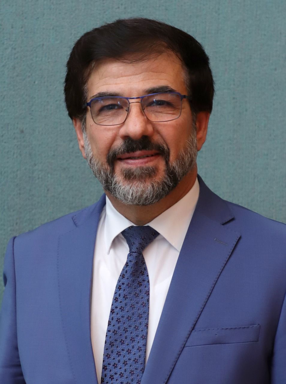 المحاسبين القانونين الأردنيين : المدققين المدانيين