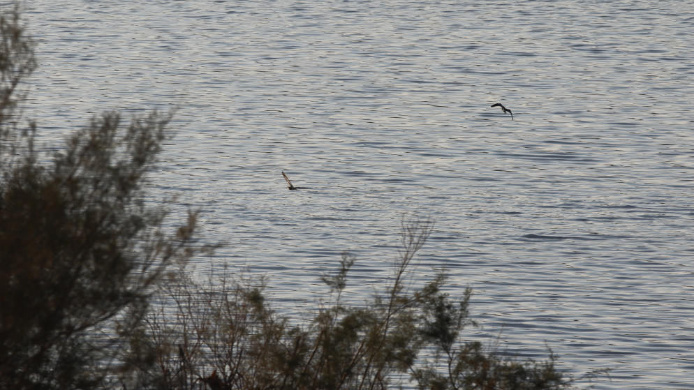 وزير المياه يشير إلى اتفاق مع