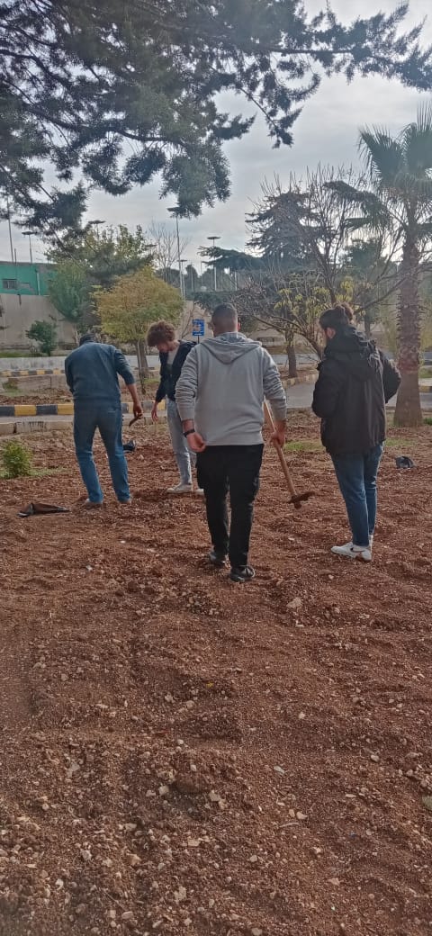 يوم تطوعي لزراعة الأشجار في مدينة
