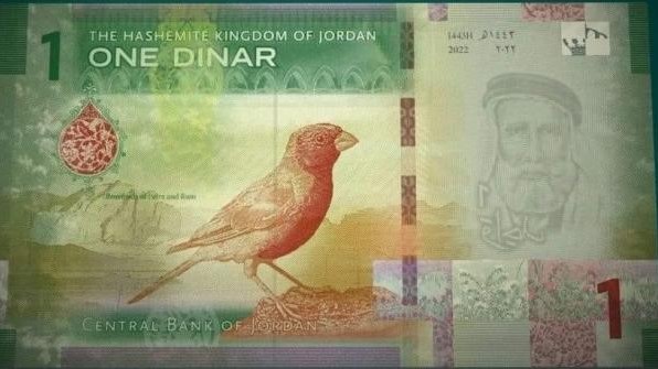 ما هو الطائر الذي ظهر على