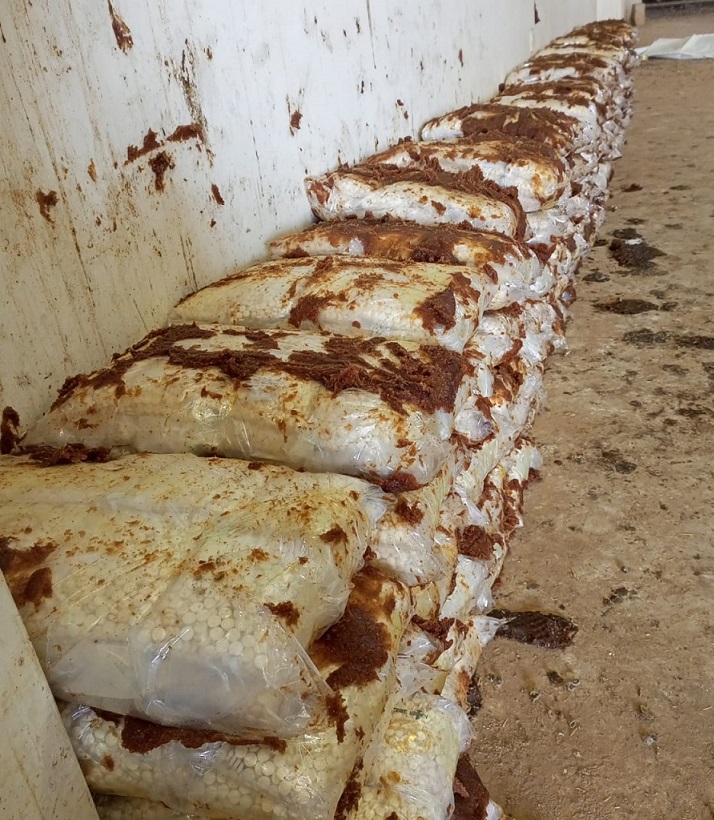 بعد إرسالية ضبطها الأردن.. العراق يشكل