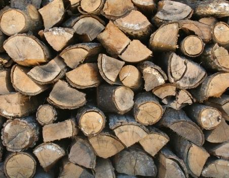 الزراعة: تخفيض نسبة الاعتداءات على الغابات