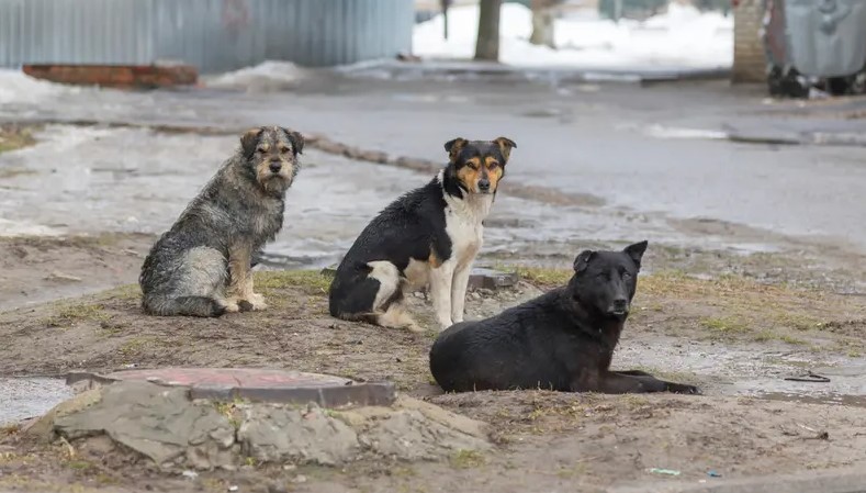ماتت رعبا.. وفاة طبيبة مصرية بعد
