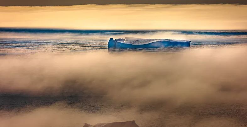 صورة النعش العائم.. رسالة 2022 المخيفة