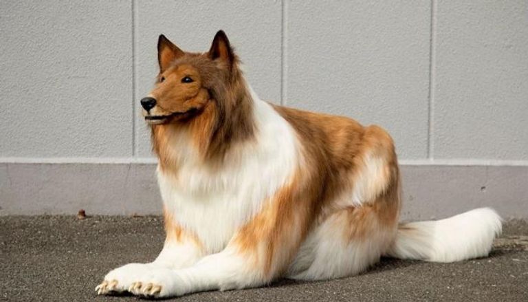 أين يقودون البشرية؟ .. ياباني يحقق