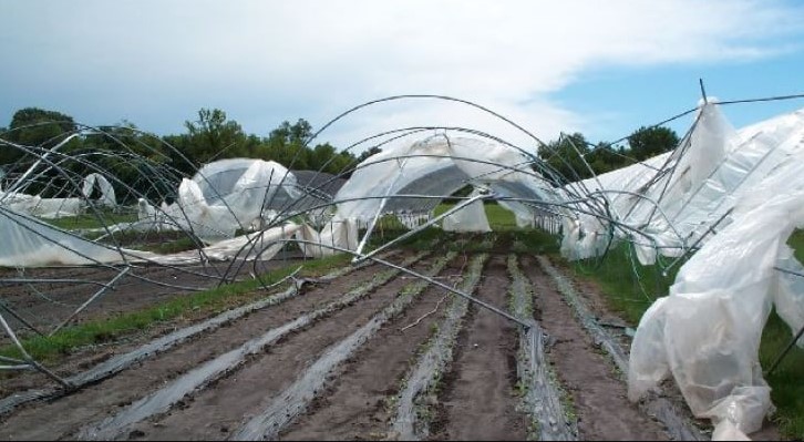 لمزارعي الاغوار: احموا البيوت البلاستيكية من