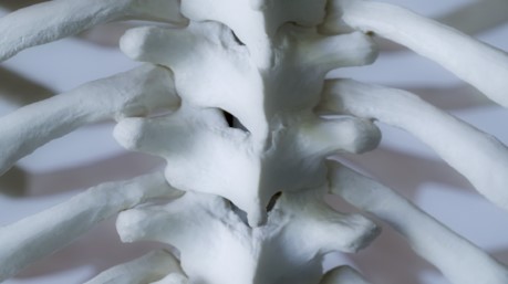 كم من الوقت تستغرق جثة الميت