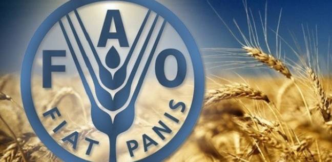 الفاو: أسعار المنتجات الغذائية العالمية واصلت