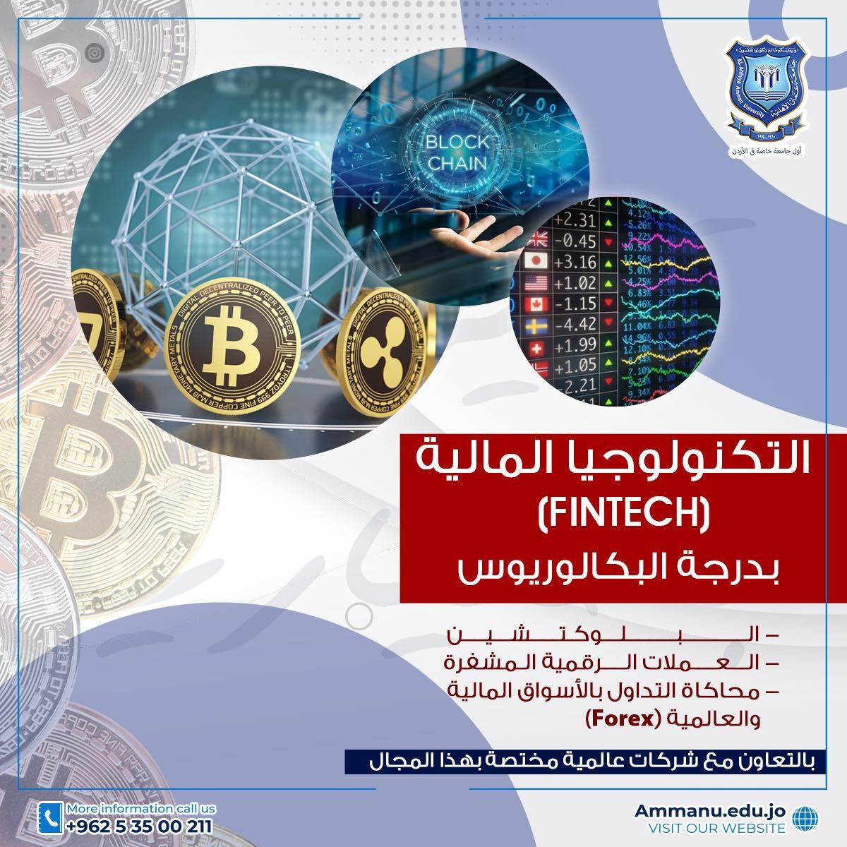افتتاح تخصص التكنولوجيا المالية FinTech) )