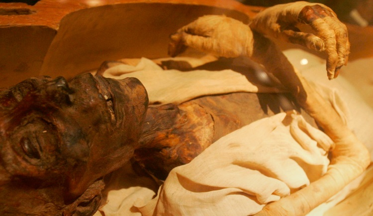 بعد نصف قرن.. تابوت رمسيس الثاني