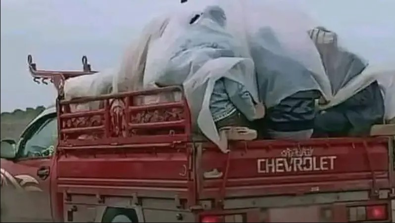 احتموا من المطر بغطاء بلاستيكي.. صورة