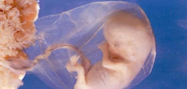 هل تعرف الفرق بين الفرج والسعادة؟