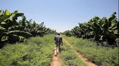 تراجع الهطول المطري في المناطق الشمالية