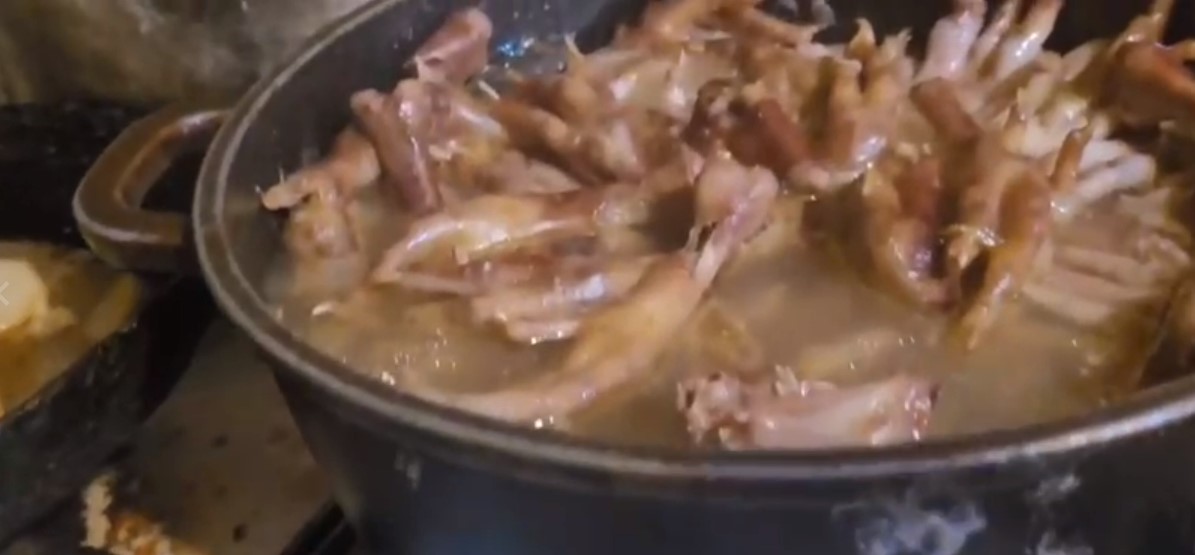 في الاردن.. بنات بدون شهادة ميلاد..