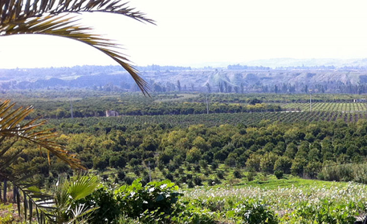 سياحة شتوية نشطة بالأغوار الشمالية وسط