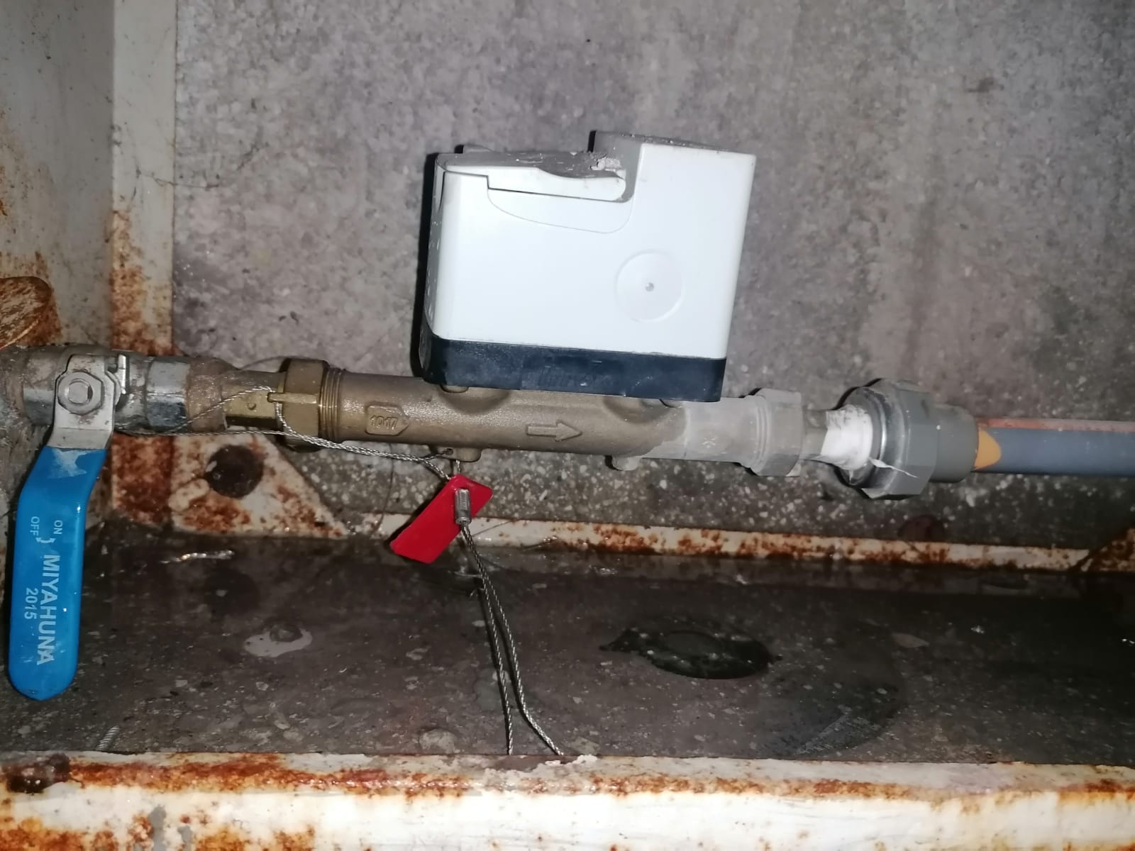 صحفي رقم اشتراكه 890275.. من أضاع