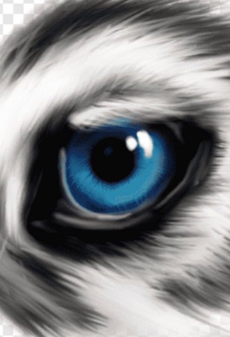 المستقلة للانتخاب تقبل طلب تأسيس حزب